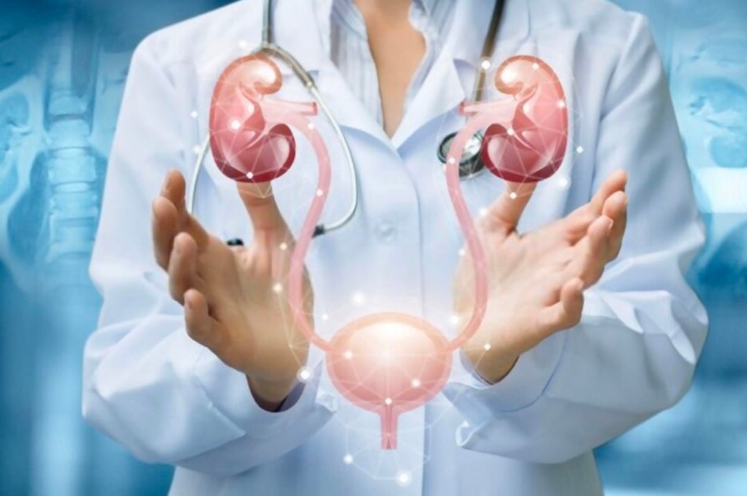 University Urology Associates of New Jersey New Jersey's Urology